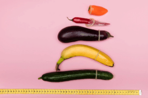érection masculine et taille du pénis