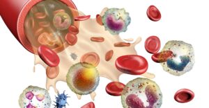 Leucocytes et hématies